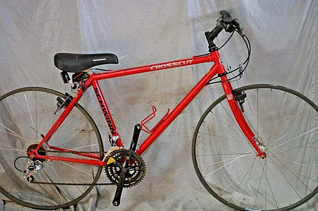 1991 Schwinn Crosscut Hybrid Bike 18" Large Exage LX Chromoly Steel USA Shipping