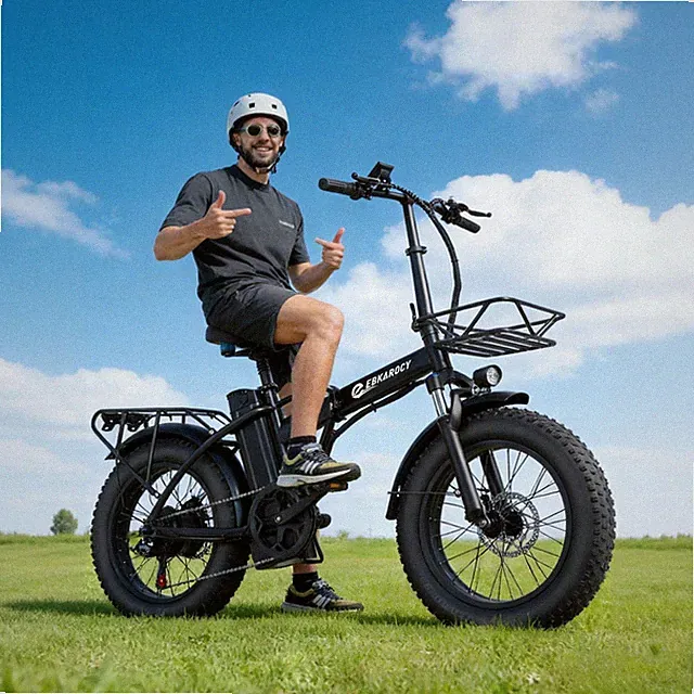 20" 750W 48V New Folding e-bike Fat Tire for Off-road