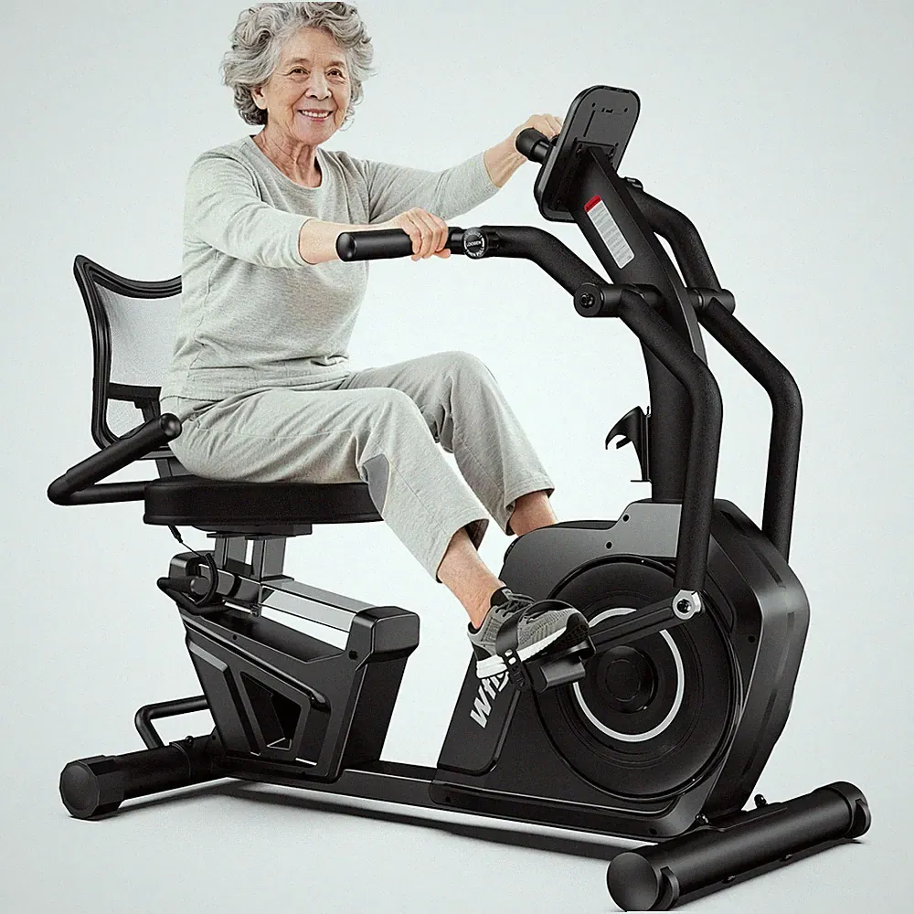 Recumbent Exercise Bikes for Home Stationary Bike with Arm Exerciser Smart APP